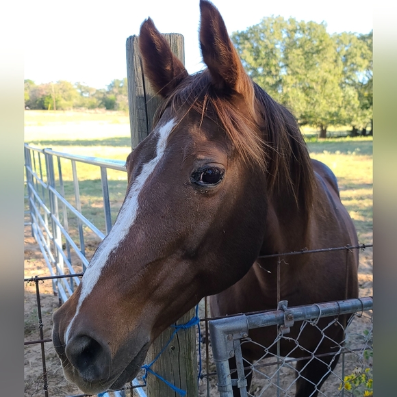 Meet your Posher, Dorothy - Picture 3 of 12